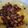 Cooksnap dari melissa latief untuk resep Daging maling tumis kentang #nonhalal