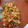 El cooksnap de Julián cuando hizo Ensalada de lazos de pasta.