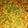 Vaishali Arora's cooksnap of when they made Boondi ki Sabzi.