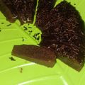Cooksnap dari Tami Almana untuk resep Brownies chocolatos (no oven/no mixer anti gagal)