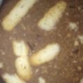 Cooksnap από Ασπα Γιατρα στη συνταγή Μωσαϊκό Βίγκαν