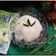 Cooksnap dari IfaRaa untuk resep Kelapa Muda KW