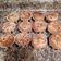El cooksnap de Andres Vilches cuando hizo Muffins de arándano.