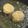 Cooksnap dari nihayanurul untuk resep Potato cheese ball