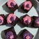 Cooksnap dari Ayu Adi untuk resep Brownies kukus ala amanda