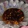 Cooksnap dari Melly Bintari untuk resep Sambal kecap pelengkap kare