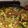 El cooksnap de Karina Parodi cuando hizo Chop Suey a mi manera.