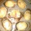 Cooksnap dari Weecky joe untuk resep Takoyaki sayuran