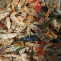 Cooksnap dari Dwi Susilawati Helingo untuk resep Nike Tumis / Nike Woku / Ikan Nike Tumis Khas Manado