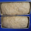 Cooksnap dari Ratna Gita untuk resep 10. Rokupang (Roti Kukus Panggang) Cokelat