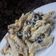 Cooksnap από Εβελίνα07 στη συνταγή Insalata di pasta με τόνο και μουστάρδα