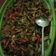 Cooksnap dari Ummy Nashr Habibah untuk resep Tumis kembang kates (kembang pepaya)