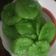 Cooksnap dari Veetryee Nuzurotoru untuk resep Cucur gulmer