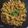 Pinal Patel's cooksnap of when they made ગુવાર શિંગ નુ શાક (Guvar Shing Shak Recipe In Gujarati).
