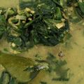Cooksnap dari Deysi Nathalia untuk resep Gulai teri daun singkong