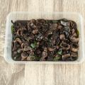 Cooksnap dari dian mega maharani untuk resep Tumis cumi tinta hitam // Oseng cumi // Tumis balakutak