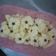 Cooksnap dari Rani Ramdhani untuk resep Kue Semprit Susu
