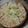 El cooksnap de rpmartinez14 cuando hizo Tarta de zapallitos muy fácil.