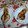 El cooksnap de Terelu Canet Talavera cuando hizo Calamar de potera a la plancha.