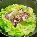 Cooksnap của Dibee khi họ làm theo món Canh cải thảo nấu tuột baby