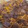 Cooksnap dari Munira NiLa Nadjemuddin untuk resep Gore - Gore daging sapi khas sulawesi #KitaBerbagi