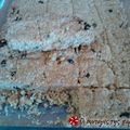 Cooksnap από λεμοναδα στη συνταγή Γλυκό με βρώμη