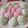 Cooksnap dari Sophie Swadeshi untuk resep mochi praktis