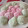 Cooksnap dari Sophie Swadeshi untuk resep mochi praktis
