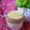 Cooksnap dari Erni dwip untuk resep Dalgona Coffee