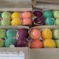 Cooksnap dari Sweetz Layla's kitchen untuk resep Rainbow Craquelin Choux