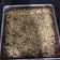 Cooksnap dari Maya Diaz Alffi untuk resep Fudge brownies