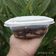 Cooksnap dari Ayi bin untuk resep Oreo Cheese Cake Lumer (Irit,ekonomis,Enak)