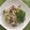 Cooksnap από 𝑀𝒶𝓉𝓈𝑒𝒻𝒶 στη συνταγή Ριζότο με μανιτάρια 2
