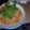 รูป Cooksnap ของ วิษณุ อุ่นน้ำใจ เมื่อเขาทำ ต้มจืดไชเท้ากระดูกแก้ว