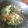 Cooksnap dari Uwow Oktavianti untuk resep Capcay Kuah