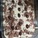 El cooksnap de Rosaura Magdalena Pando cuando hizo Vitel Toné.