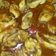 El cooksnap de yolandamodrono cuando hizo Conejo guisado con verduritas.