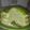 Cooksnap dari Fromtozero untuk resep Mille Crepes Durian + Pancake Durian