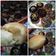 Cooksnap dari neney untuk resep Donat kentang awet empuk 🍩