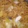 Cooksnap dari Nariscaramels untuk resep Mie goreng pedas manis