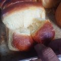 Cooksnap dari Dapur Koe untuk resep Roti manis kasur/sobek tanpa ulen empuk, enak 👍