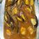 La cooksnap de manuelcaballero1963 cuando cocinó Mejillones en salsa de tomate