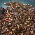 Cooksnap dari amora untuk resep Tempe Orek Kering