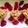 Amita,S Rasoi Or Easy Rangoli's cooksnap of when they made Nolen gurer sondesh.