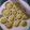 Cooksnap dari DiYos Nie untuk resep Pie susu mini anti gagal (dijamin yummy)
