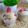 Cooksnap dari Indah Mei untuk resep Eskrim Jeruk Homemade