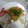 El cooksnap de María Consuelo Valenzuela Peña cuando hizo Tortilla de tallarines/pollo y verduras.