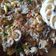Cooksnap dari Millatul Widad untuk resep Nasi goreng cabe ijo, bumbu iris
