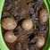 Cooksnap dari Nurul Huda untuk resep SEMUR DAGING +TELOR ALA BETAWI