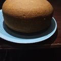 Maggie Karis's cooksnap of when they made Yummy Vanilla Cake #bakingcontest.